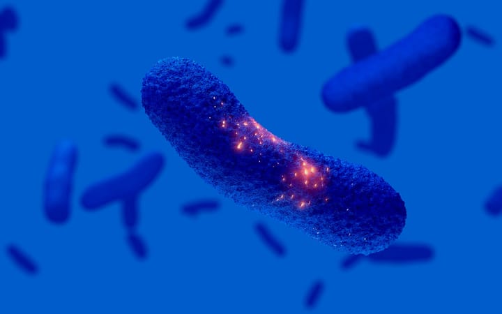 Gum Inflammation as a Silent Vessel Killer: Why a Little Bleeding Is More Serious Than We Think